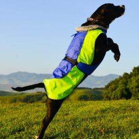 Alpine All-Weather Dog Coat - Blue and Green (Option: X-Small)