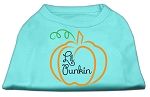 Lil Punkin Screen Print Dog Shirt (Color/Size: Aqua Lg)